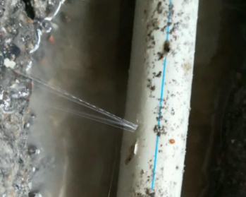 故城卫生间测漏水多少钱