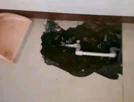 故城卫生间测漏水多少钱